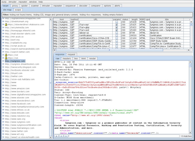 Burp Suite Professional