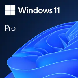 Windows 11 Professionnel